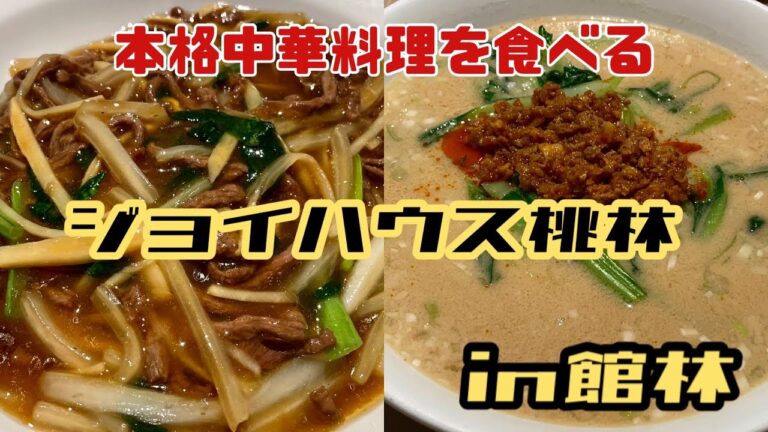 【館林市】ジョイハウス桃林💚本格中華を館林で見つけたよ😊👏深い味わいで味もすごい美味しい🥺🙌坦々麺は胡麻が強め😎👍あんかけがかかったご飯こんなに美味しいんだ🍚つつじが岡公園すぐそば😁