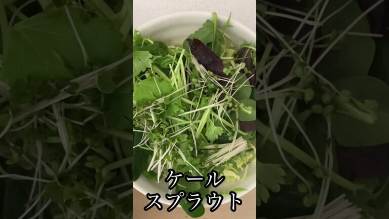 栄養満点スパイスサラダ#shorts