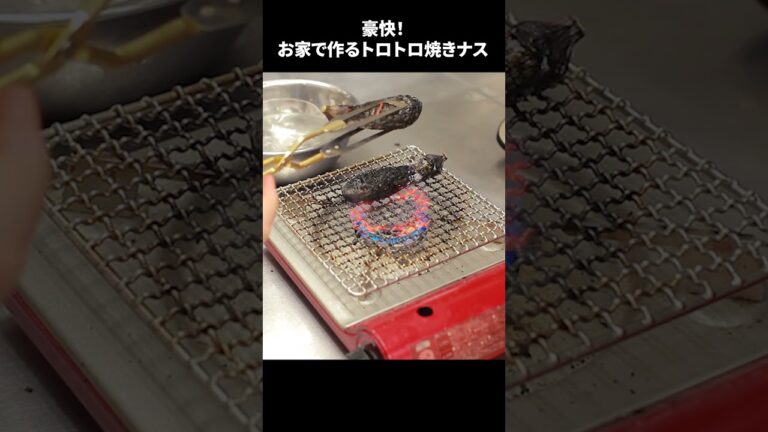 【トロトロ激ウマ】爆発しない！お家で作る丸ごと焼きナス #Shorts