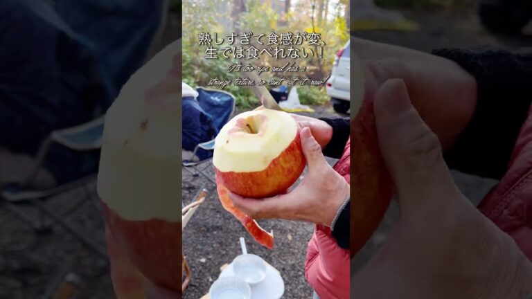 【キャンプデザート】熟しすぎた大きなリンゴ生では食べれなくて〜、【camp dessart】A big overripe apple, you can't eat it raw!
