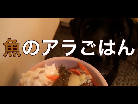 大型犬の手作りごはん：魚のアラ２種の煮込みごはん
