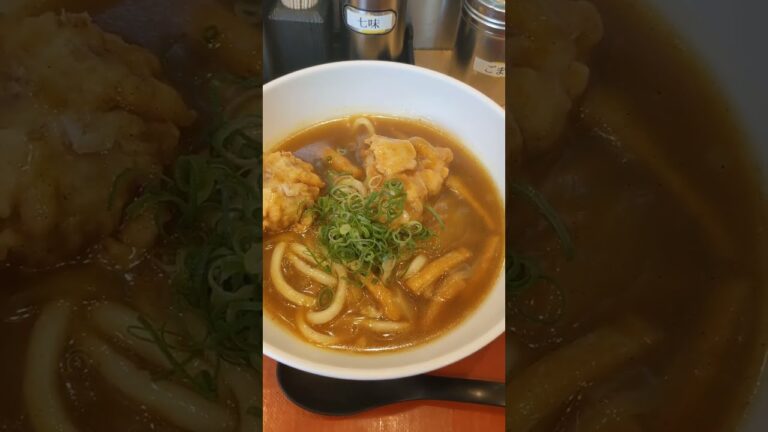 新大阪駅　鶏天カレーうどん