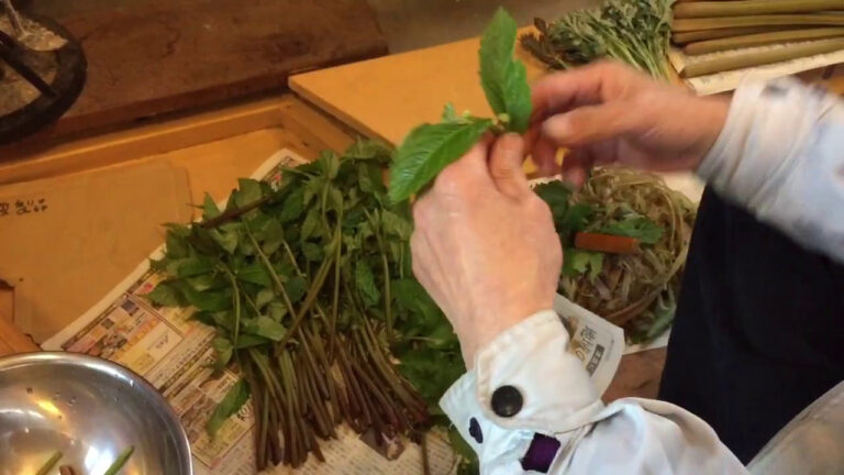 みずの皮のむきかた［山菜の下処理方法］