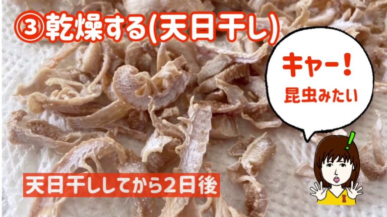 第１９話　タケノコの保存方法です！　料理講師５人のチーム「杜の台所」がおくる「食」学校！