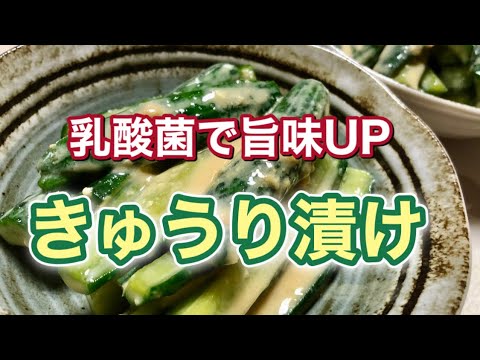 ２つの発酵食品で簡単・時短に美味しく出来る！ 爽やかな旨味が夏にオススメ【きゅうりの漬物】