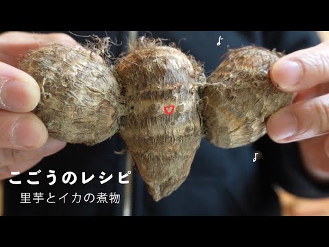 こごうのレシピ　子供の頃から大好きな里芋とイカの煮物 / イカのさばき方と里芋の剥き方