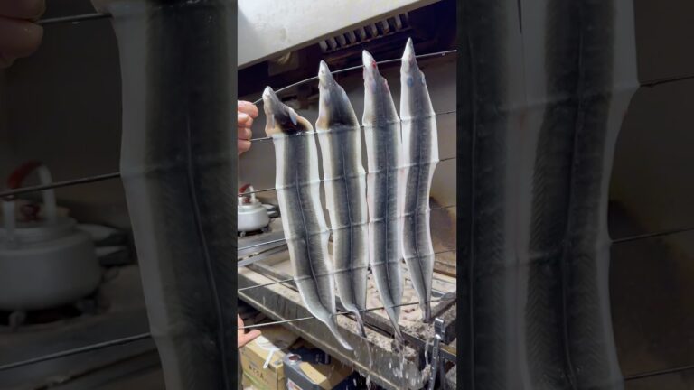 生命をいただく！活鰻を炭火で焼きあげた極上うな重🍚 #japanesefood