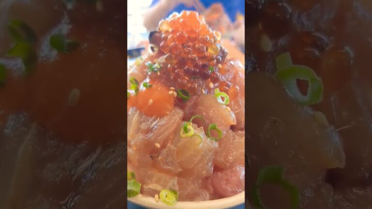とと丸頂上丼🐟#short#shorts#ショート#漁港の駅#totoco#とと丸頂上丼#とと丸#海鮮丼#海鮮#美味#小田原グルメ#小田原#グルメ#驚き#最高#満足#fps#fyp#おすすめ#オススメ