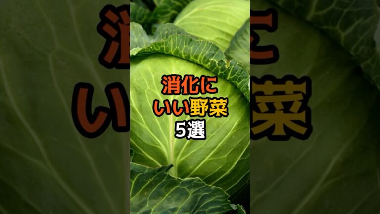 9割が知らない?消化にいい野菜5選 #食べ物 #食のひみつ  #雑学  #食材の効能  #消化 #野菜  #shorts