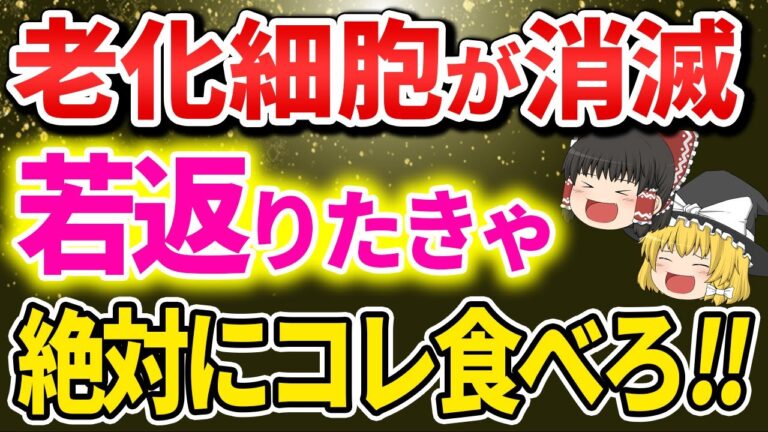 【総集編】東大研究者が発見した老化細胞除去薬の衝撃の事実【ゆっくり解説】