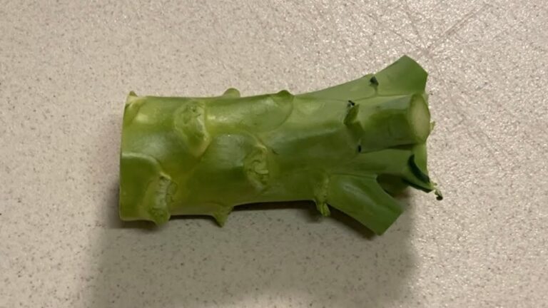 ブロッコリーの芯の食べ方