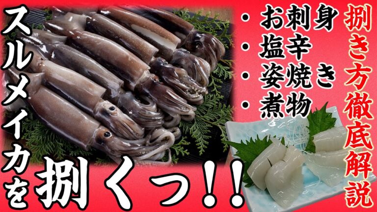 スルメイカを捌く！鮮度抜群の船内凍結のスルメイカの紹介と捌き方解説！