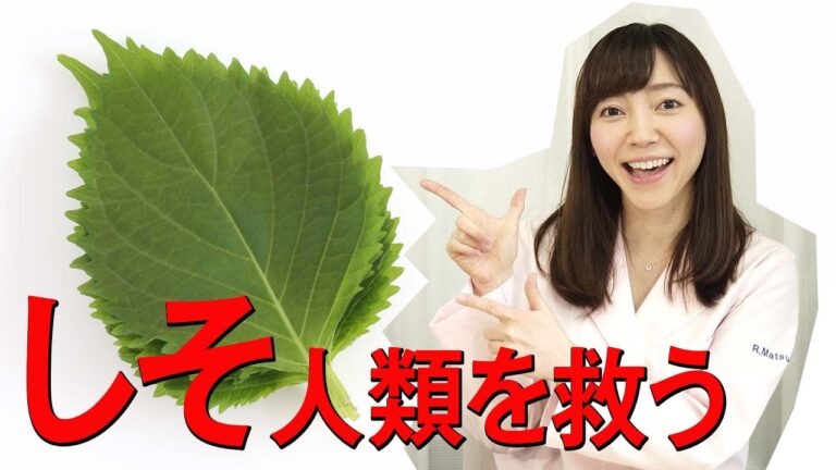 【第68回小話】しそ篇_オススメの食べ方、食べ合わせ