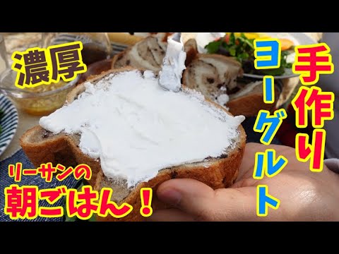 我が家の庭でリーサンの手作りヨーグルトで朝食です♪