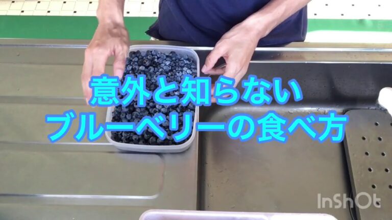 意外と知らないブルーベリーの美味しい食べ方
