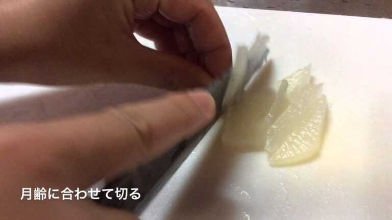 離乳食　鶏のささみと大根の煮物【動画でわかる！和の離乳食レシピ】