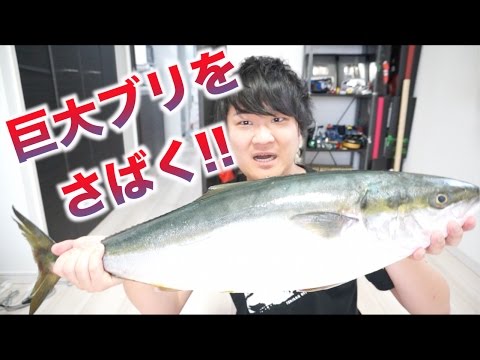 巨大ブリを低速でさばいて食べようゾ！！