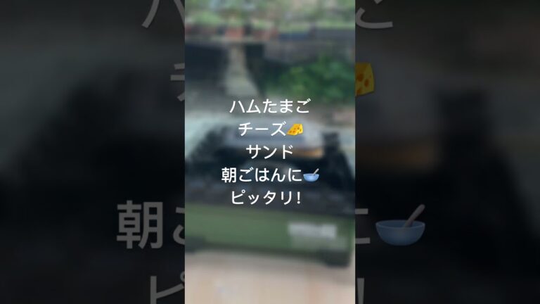 ハム×たまご×チーズホットサンド間違いない！#shotrs #アウトドア#ホットサンドメーカー#インフレに負けない