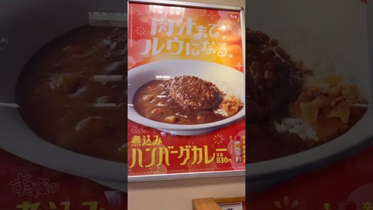 ◾️煮込みハンバーグカレー！　並830円ハンバーグ食べ応えあって美味しかった！辛口ソースかけるとより美味しくなる！#すき家 #煮込みハンバーグ #カレー #curry