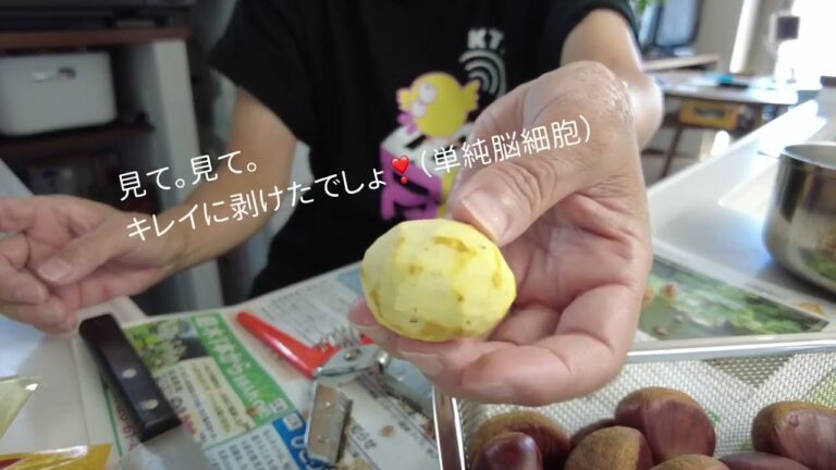 秋の味覚　栗の甘露煮&栗ごはんを作ろう🌰◇料理日記◇ ぶきっちょさん。アラ還女子の記録