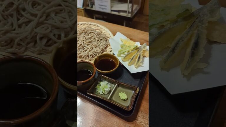 木崎湖近くの「みの屋」さんの天ざるそば