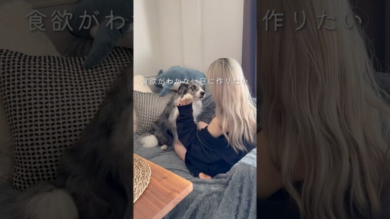 【夏バテしてない？！🥵】トマトと薬味の冷製パスタ同棲/在宅ワークのご飯事情#同棲ご飯 #毎日ご飯 #冷製パスタ