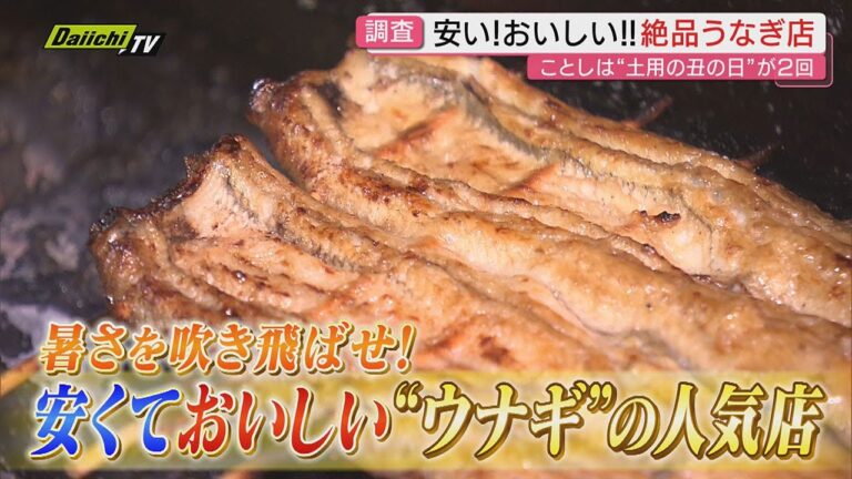「土用丑の日」間近！猛暑を乗り切る絶品･お値打ち“ウナギ”の人気店を調査（静岡）
