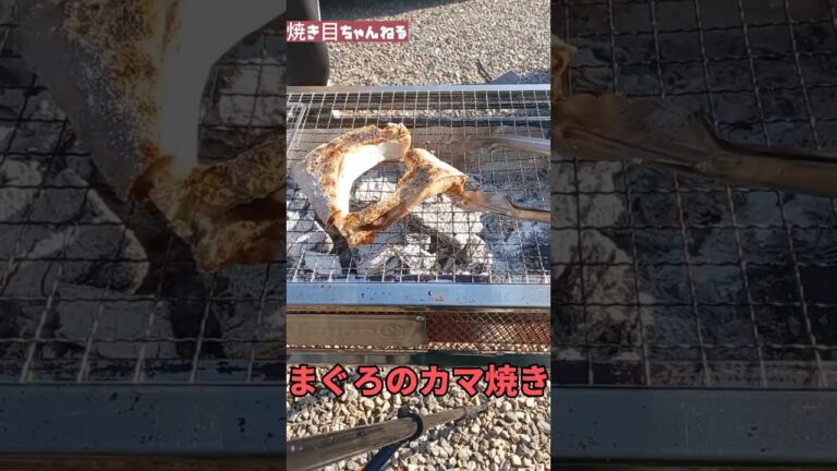 馬そうなマグロのカマを手に入れたので炭火で焼いてみた⭐　～Nice焼き目！！～ #焼き目 #炭火 #マグロ#カマ焼き