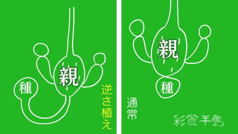 知多半島まるごとガイドちたまる「彩食半島　げんきの郷」2020年11月2日放送