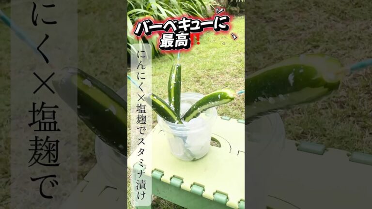 【夏の元気めし】にんにく×塩麹でスタミナきゅうり！BBQ差し入れに最高🔥