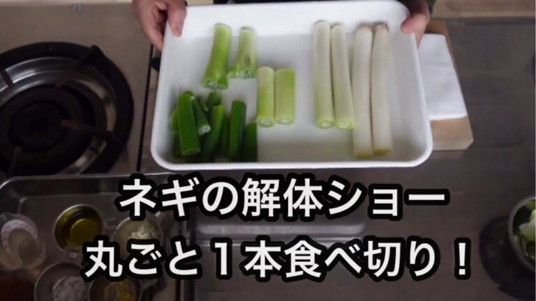 【ネギ解体ショー】ネギだけ！やみつき色々食感ねぎ炒め