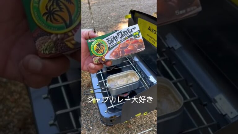 キャンプと言えばカレーなんだけどかなり適当なカレーなんだけど美味いんだなぁ〜これが。
