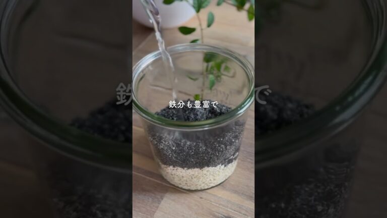 【老化防止に！やさしい黒ごま麹】