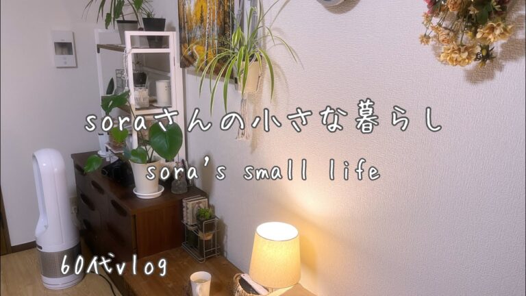 《63歳東京ひとり暮らし＋1》困ったかくれんぼ/お弁当に合うおかず/無印・ダイソーで買った物/私が車に乗らない訳　　#ひとり暮らし  #暮らしの記録