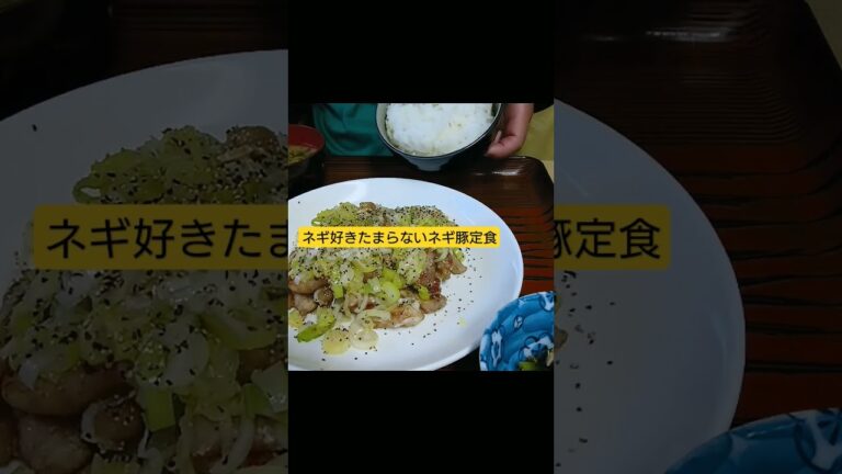 食べに行く価値あり 超美味しいネギ豚定食