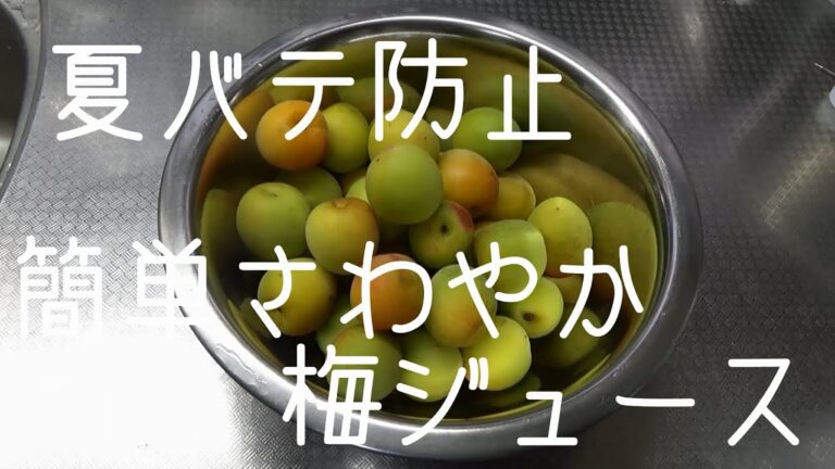 夏バテ防止!!昔ながらの梅ジュース完全レシピ