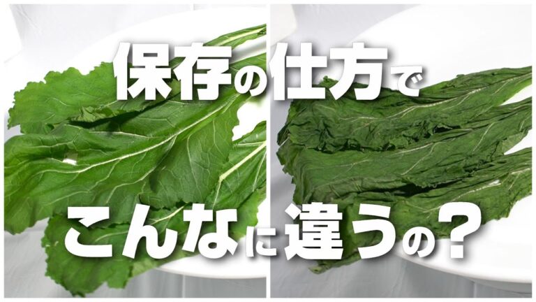 かぶの葉の保存法が本当に効果があるのかを検証してみたら驚きの結果に！