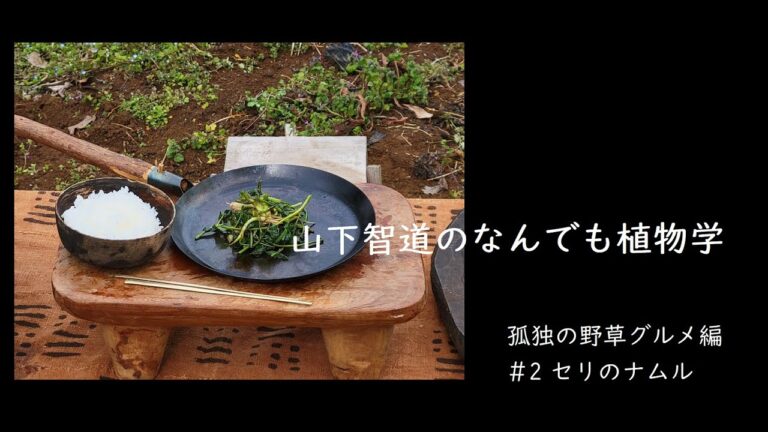「山下智道の孤独の野草グルメ」～セリのナムル～