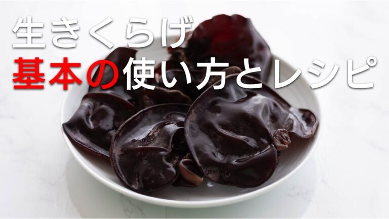 【生きくらげ 基本の使い方とレシピ】プリプリでゼリーみたいな生きくらげをおいしく食べるためのポイントをレシピとともにご紹介。刺身、炒め物、スープと生きくらげのおいしさがいっぱーい!
