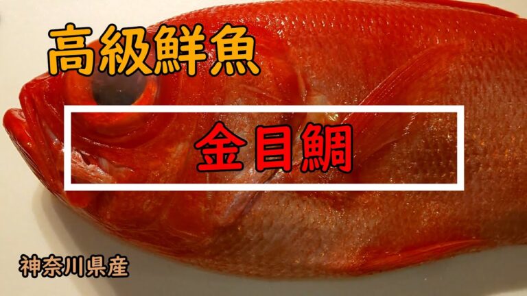 金目鯛