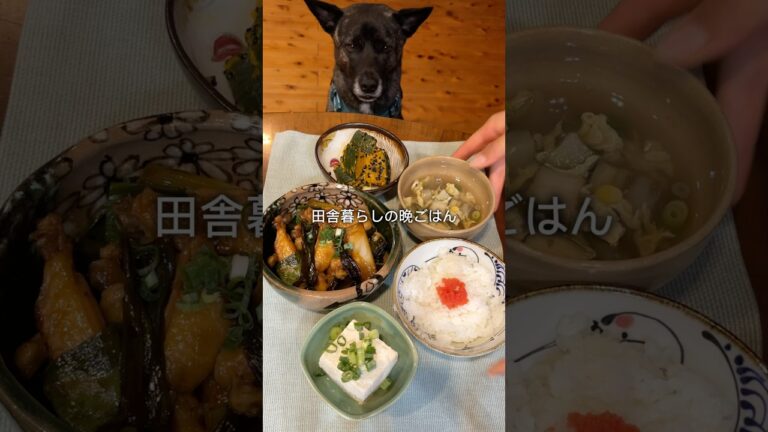 晩ごはんは鶏肉と長ネギの照り焼き🫛 #晩ごはん #簡単レシピ #今日の晩ご飯