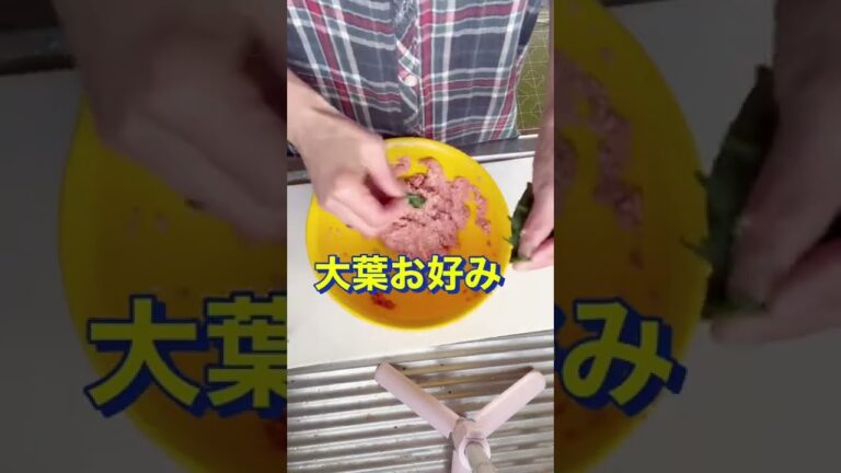 おかずにもつまみにもお弁当にも😍【油揚げの肉詰め】#Shorts #ひめりんご