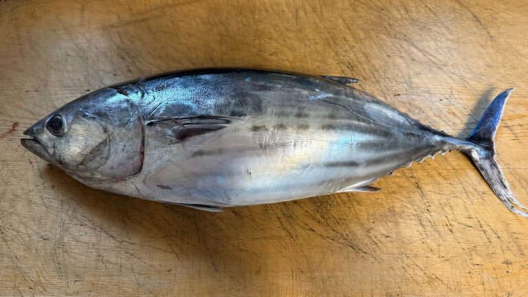 足立市場兼長　初カツオ!特製血合ユッケ作り方