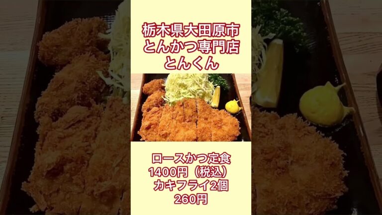 隠れ家的な絶品とんかつ屋！【栃木県大田原市】とんかつ専門店 とんくん【栃木グルメ】#shorts