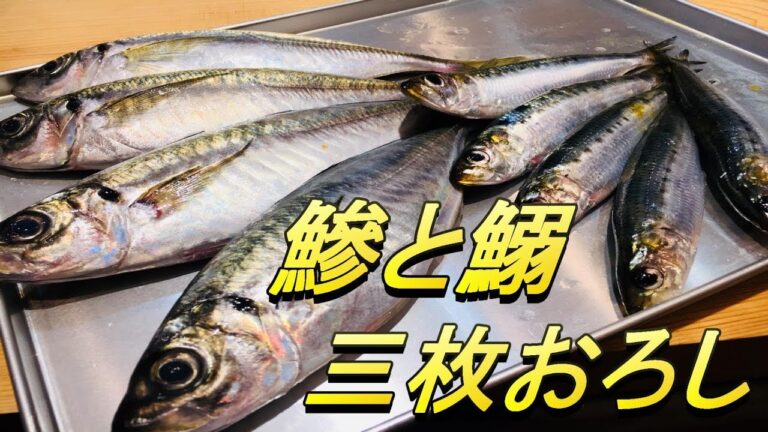 鰺と鰯の三枚おろし