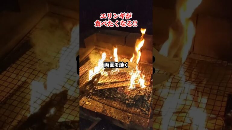 【衝撃】栄養たっぷりだったエリンギ 簡単キャンプ飯 #shorts