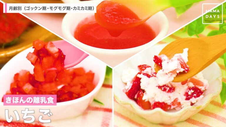 【離乳食レシピ】いちご【離乳食初期　離乳食中期　 離乳食後期　5ヶ月　6ヶ月　7ヶ月　8ヶ月　9ヶ月　10ヶ月　11ヶ月　進め方 レシピ】