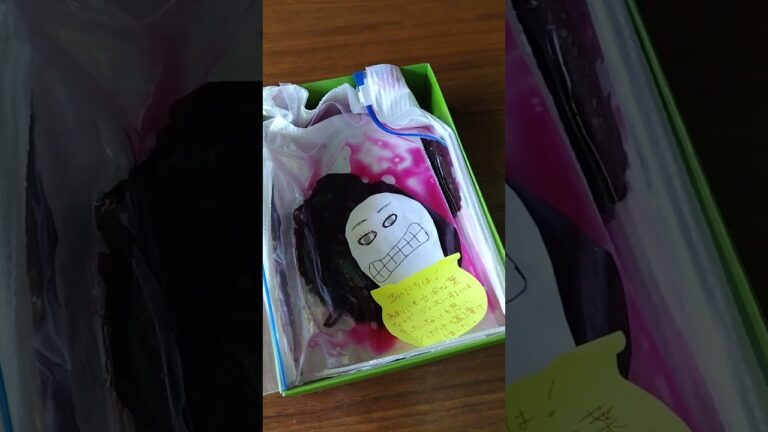 赤紫蘇の塩漬けが入ってた！ありがとう😊