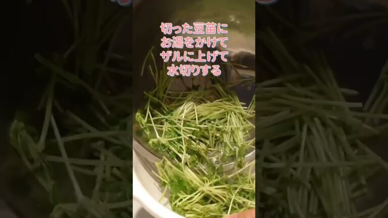 300円でたっぷりできる！豆苗ともやしのダイエットサラダ@アッちゃんタカちゃんお料理チャンネル