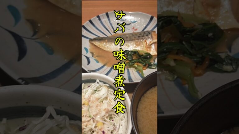 やよい軒のサバの味噌煮定食 #やよい軒 #サバの味噌煮 ＃さばの味噌煮 #渋谷ランチ #shibuya #渋谷 #japan #seafood #japanesefood #yayoiken